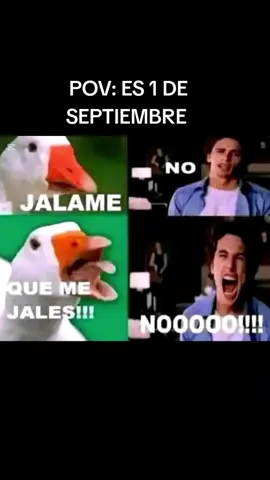 #septiembre#fyp #memestiktok 