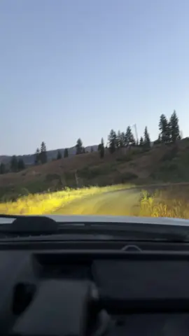 Getting hyped on the drive to find elk! #hunting #elk #tiktok #bowhunting #hype 