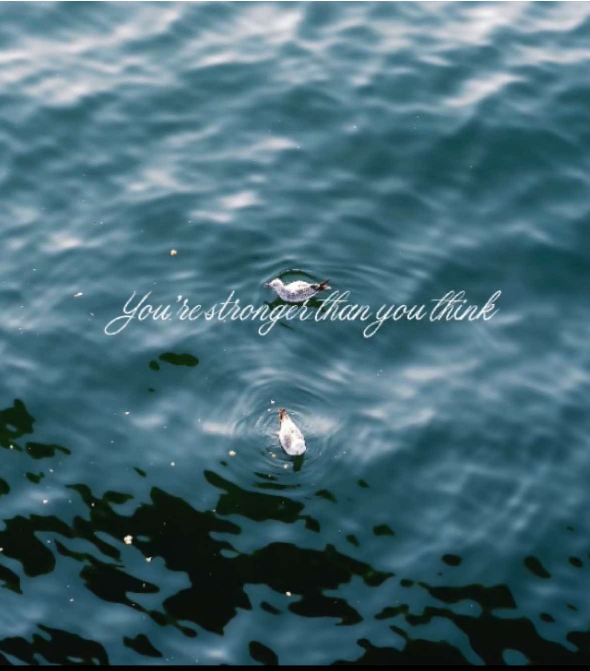 Even if you’re shaking you’re stronger than you think.  #كلمات_من_القلب #اطمئن #قلبي_اطمأن #امل #islamfyp  