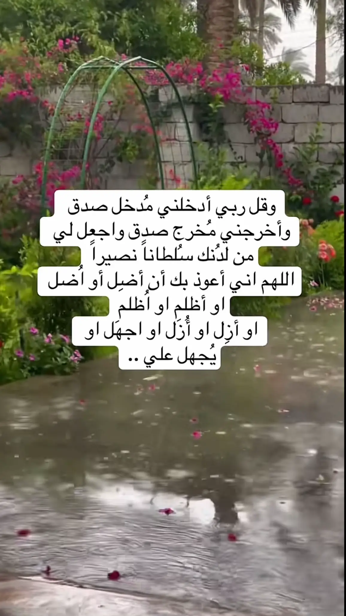 #foryoupage #أكتب_شيء_تؤجر_عليه🌿🕊️ #ذكر_الله #fypage #creatorsearchinsights                ‎‏   ‎  