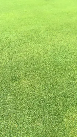 This trend but on the golf course #golftiktok 