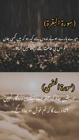 #poetry  #islamicpoetry  . . . . . . . . . . . . . . . .#foryou  . #foryoupage❤️❤️  . #unfreezemyacount 