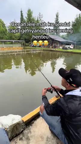 Saha nu ngomong ku sendal capit ge nyangut ieu ning ngahuleng #mancing #brothermancing #fishing #ikanlele #galatamalele 