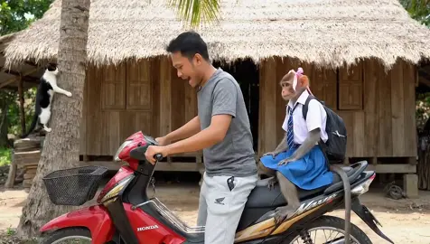 Hantar berok sekolah.🤣 #veo3 #fybシ #veo3 #fyp #aishortfilm 