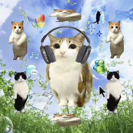 I’m a new soul 🎶🫧🫧 #meowl #viralcat #catsoftiktok #sillycatsoftiktok #catlover 