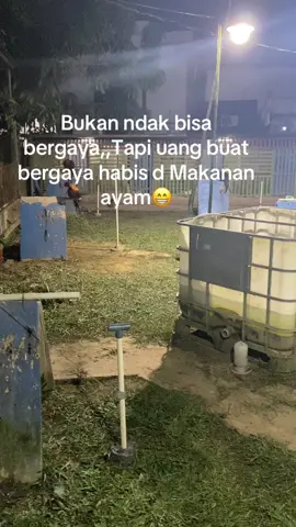 Copy kha bosq#salam satu hobby🔥🐓#fyppppppppppppppppppppppp 