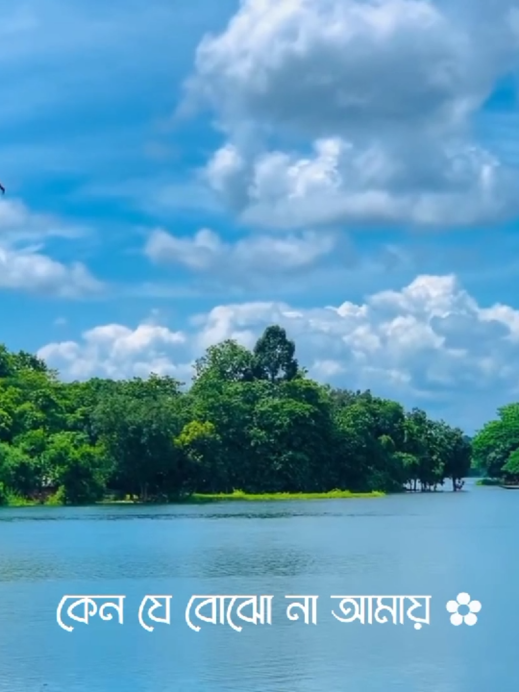 কেন যে বোঝো না আমায় 😩💙 ..  #foryou #tiktokbangladesh #lyrics_songs #fyp #lyrics #lyricsvideo #songlyrics #jaman_9x0 #viralvideo #foryoupage #jaman_9x #growmyaccount #song 