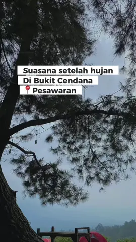 yang mau camp di bukit cendana,boleh banget ya🥰 #lampungpride🔥 #lampungtiktok #lampungviral #foryoupage #fyppppppppppppppppppppppp 