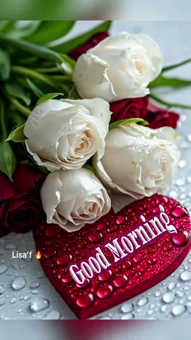#good morning viral my video plllllz 💯💯#💐👗🦋💐☕️🌹⛄️#پاگل لڑکیُ#