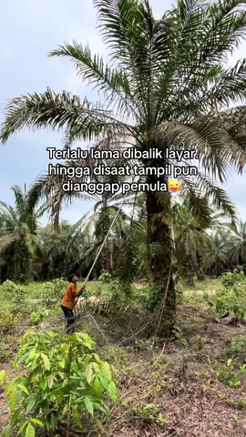 #fyp #sungaisodong #sungaisodong #sumatraselatanpalembang 