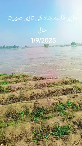 #videoviralitiktok #MariQasim Shah#videoviralitiktok 