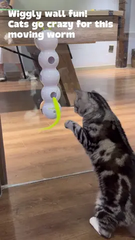 Wiggly worm on wall!Cats can’t resist the moving fun 🤩 #fyp #catsoftiktok #cats #cattoys #catlife 