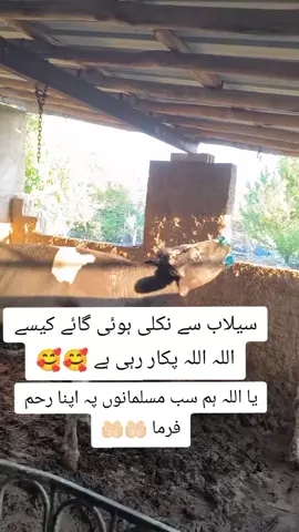 tiktok uncle don't under view my videos #standwithkashmir #foryou #foryoupage #viral #trending #100k #1millionaudition #tiktokislove #aapsafetohappsafe 