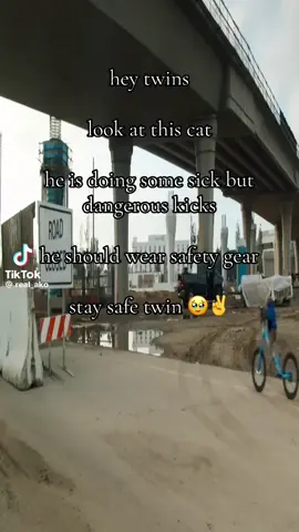 bad kitty, more safety equipment #kitty #cat #niche #fyp #xyzbca 