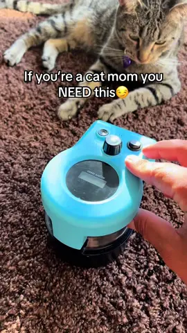 Your cat will ❤️ this 