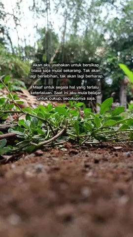 #story