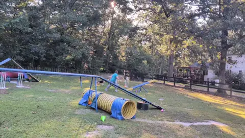 #agilitydog #bordercolliesoftiktok #bordercollie #runningcontacts 