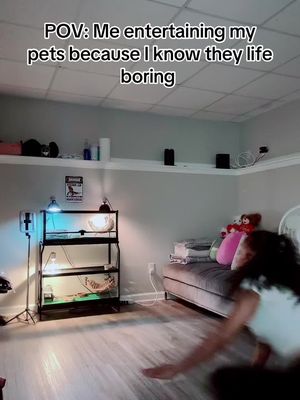 Hope they appreciate me🤧 #dance #pets #bored #entertainment 
