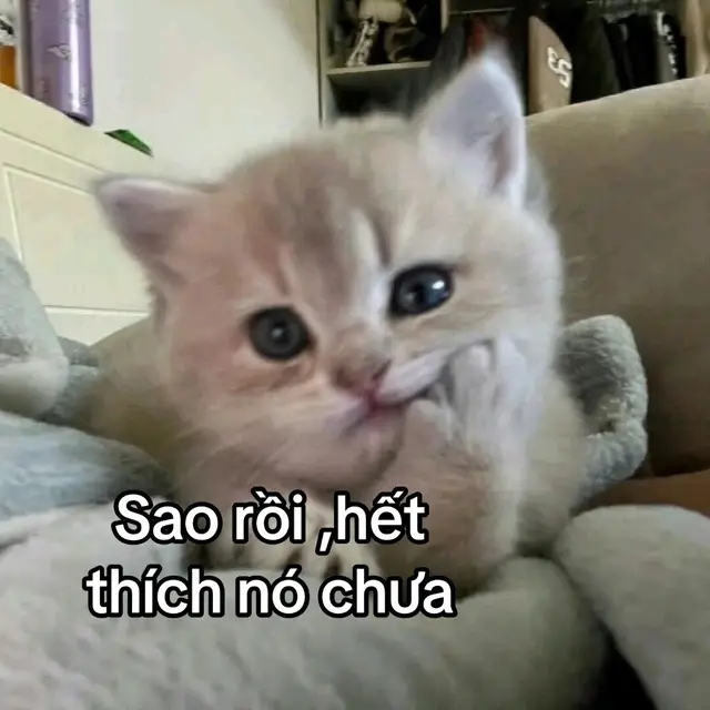 #xuhuongtiktok #foryou #viral #vanvatbietnoi 