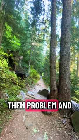 #pnw #hike #fyp #vibes 