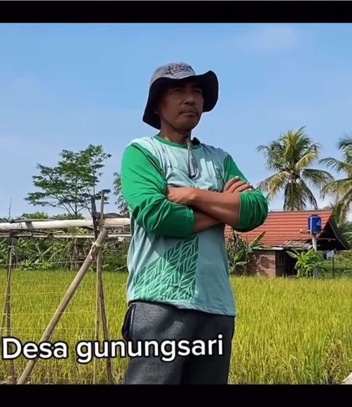 Musim Hujan Bikin Pusing? Cabai Rontok Terus? Ini Dia Solusinya!💪🌶️ Pak Yusuf dari Tasikmalaya sudah membuktikan. Meski tiap hari diguyur hujan, panen cabainya justru meningkat, cabainya besar-besar, dan enggak rontok saat fase pembungaan Semua berkat Pupuk Nitroku! Percaya deh, setelah pakai Nitroku, pertumbuhan tanaman jadi lebih maksimal dari sebelumnya. Tidak percaya? Langsung aja tonton videonya! #KataPetaniKu #PetaniKujang #50TahunEmas