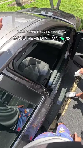 How to remediate mold - Book Now Everything I use is in my bio! ✅️ Ceramic Coating ✅️ Paint Correction ✅️ Full Details ✅️Odor Removal (305) 985-9227 If you're looking for the cheapest option keep looking. But if you want the best. You've found them. #mold #car #disasterdetail #detailing #pov 