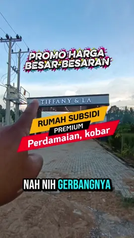 Tiffany La 9 “Rumah subsidi premium rasa Komersil” 