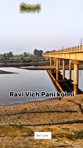 Ravi Back #Mr chichawatni  #chichawatni #foryou  #chichawatni #viralvideo 