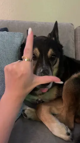 At least he didn’t munch on my fingers