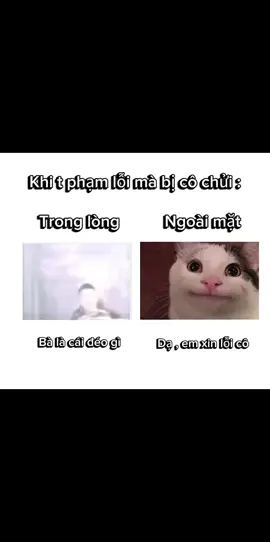 Cô yêu dấu của em 🥰 , em có vài lời muốn nói với cô 🥰 #school #meme #edit #xuhuong #hàihước 