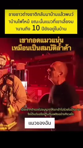 #ได้โปรด #วงfin #justsayhello #สตอรี่ความรู้สึก #fyp 
