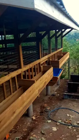 Imagine this being your goat/sheep shed... When you are done, now give us a call... 🇰🇪.7.1.7.9.3.5.6.9.9 #tanzaniatiktok #farmlife #kenyantiktok🇰🇪 #ugandatiktok #goat🐐 @John Sugar @BLUE HAMMER 