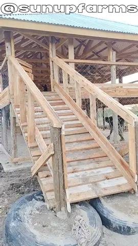 It is done: New shed suitable for Tropical Savanna Climate #creatorsearchinsights #agriculture #farmlife #mixedfarming #goat🐐  @Bliss Agro Input @Blissgroup 