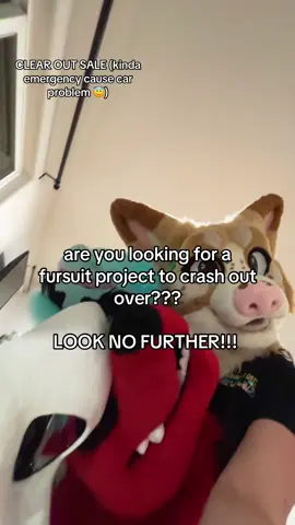 dm me on insta to ask questions (@bucklepuppy) #fursuitforsale #furryyardsale #fursuit #furrytiktok 