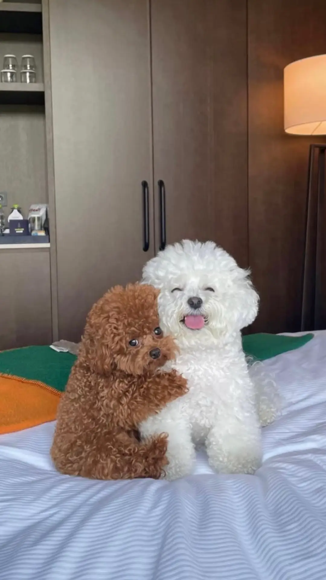 Ng tềnh kh bao vờ cứi 