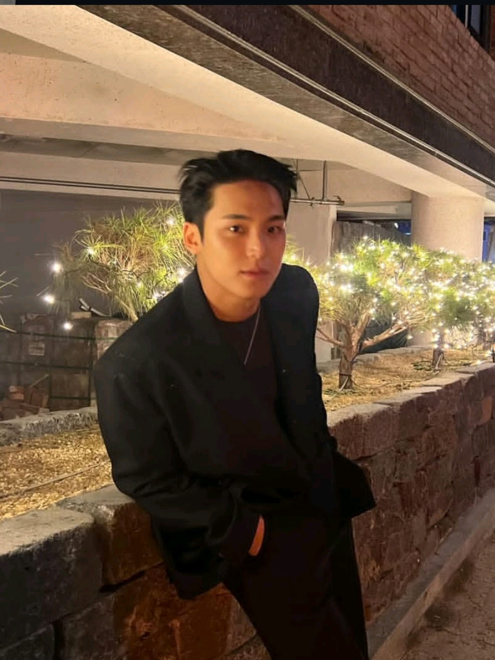 #mingyu #seventeen #fyp #4u 
