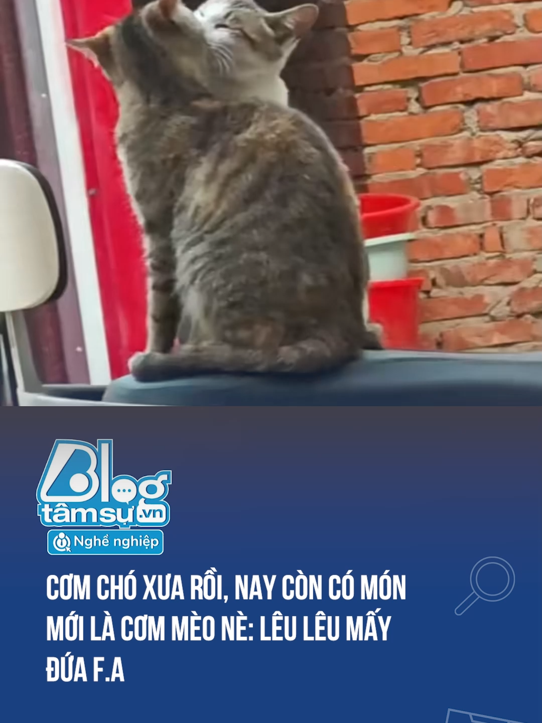 Ult kiểu Pháp luôn đó 🤣🤣🤣 #btsmedia #blogtamsu #funfact #xuhuong #haihuoc #viral #discover #troll #meo