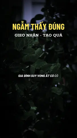 Nghe kĩ và quan sát xung quanh bạn sẽ thấy đúng #ngộđểan #phatphapnhiemmau #viralvideo #xuhuongtiktok #LearnOnTikTok 
