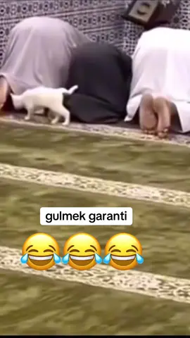 #keşfet #beniöneçıkart #kesfet #kesfetteyiz #funny 