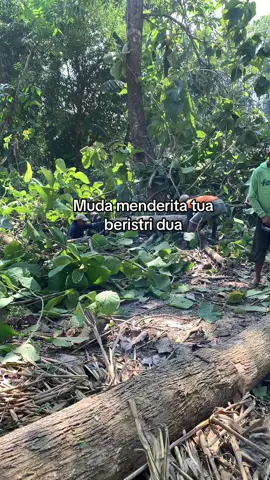 #nirwanameubel 