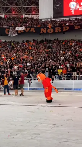 Kemana dia sekarang Jak?🐯 @Persija  #bangj  #maskotpersija  #thejakmania   #4u #xybca 