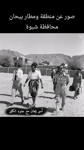 شبوة 