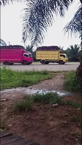 bismilah.#fyppppppppppppppppppppppp  #tiktokfiralkeren  #truksawitjambi .??