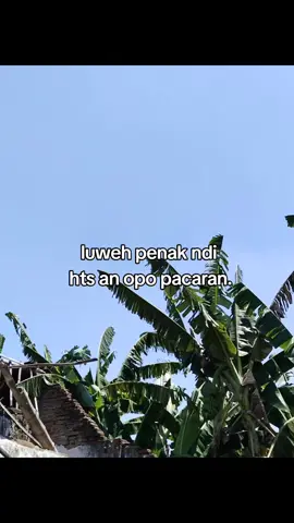 #fyp #masukberanda 