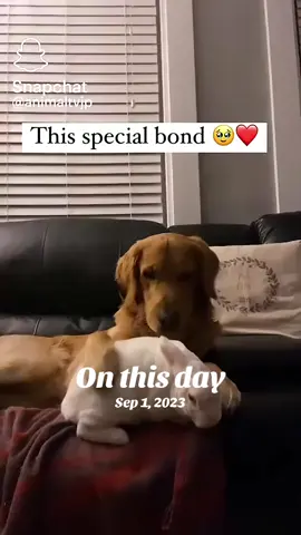 #onthisday 