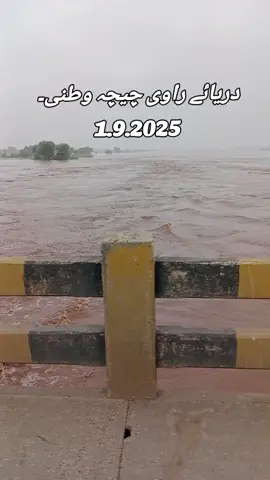 دریائے راوی چیچہ وطنی۔                    1.9.2025#chichawatni #Ravi #viralvideo 