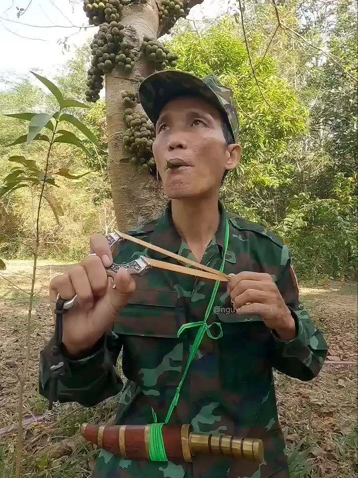 #entertainment #birdsounds #shorts - Nguyễn Điền Trung