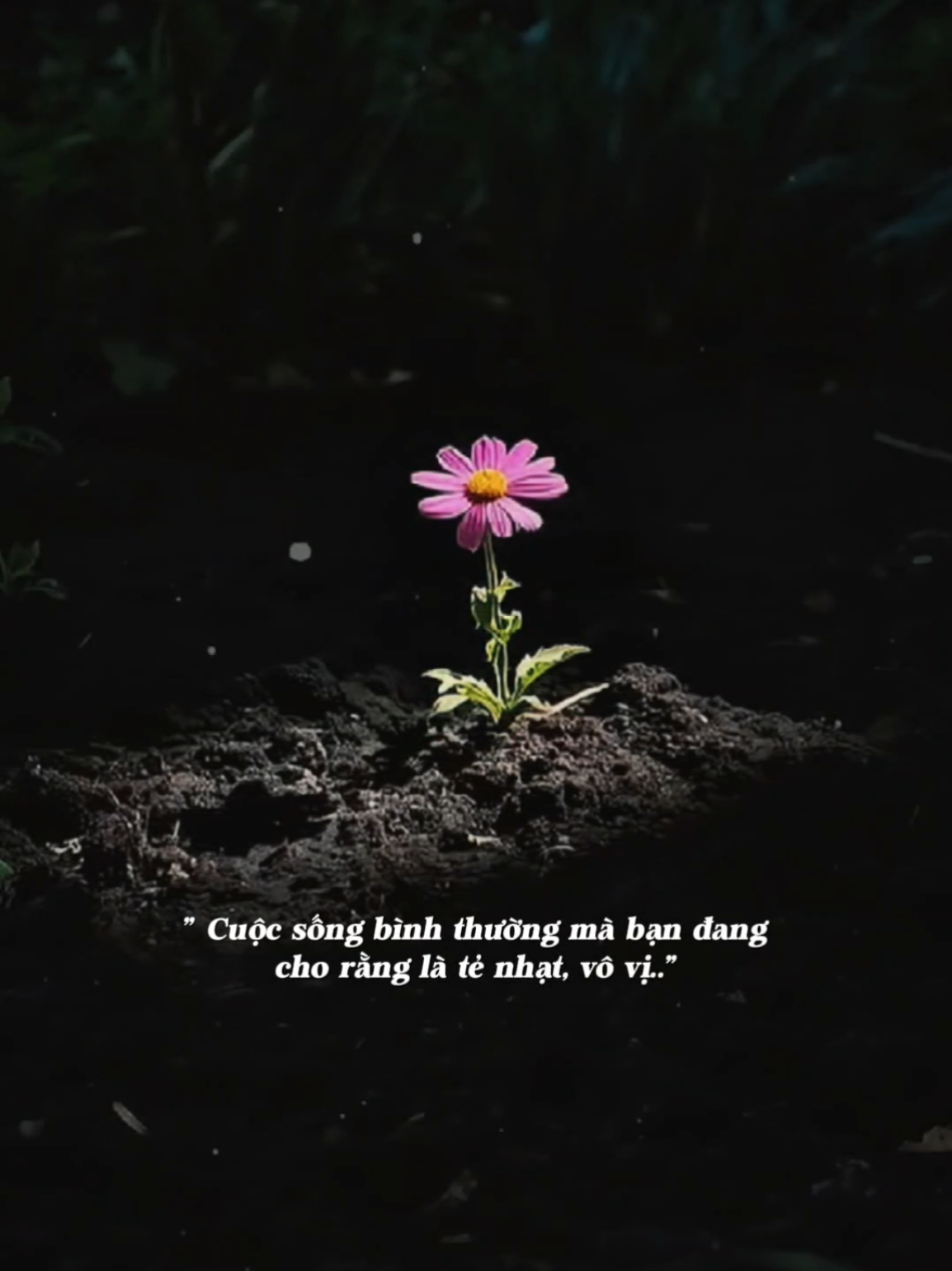 Có thứ hạnh phúc nằm trong 2 từ BÌNH THƯỜNG.. #podcast #nhachaymoingay #Bkmuzic 