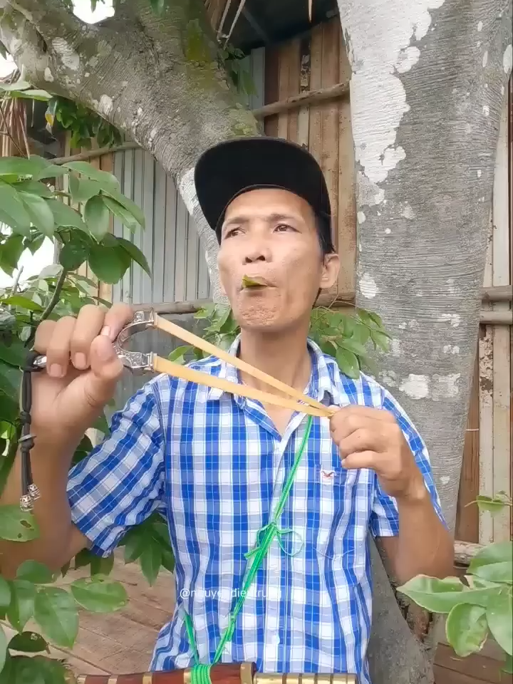 #entertainment #birdsounds #shorts - Nguyễn Điền Trung