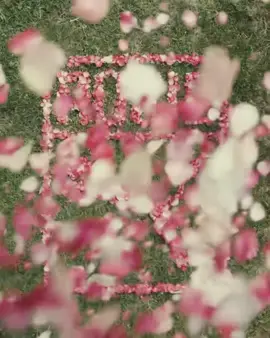 CHỤP QUẢNG CÁO PUMA MÀ CỔ ĐẸP CỠ NÀY 😭 “Tôi Muốn Trông Dễ Thương”: Rosé Chia Sẻ Về Bộ Sưu Tập Puma Đầu Tiên – Và Vì Sao Công Nương Diana Là Biểu Tượng Thời Trang Khiến Cô Bất Ngờ Nhất ❓ Cảm giác của bạn thế nào khi thấy Hank thành ngôi sao trên Dogue?�🥀 Ôi trời, đúng là điên rồ. Dạo này cậu ấy đang ở “thời kỳ đỉnh cao”, và trong ngày chụp hình, Hank thật sự chiếm trọn spotlight. Ai cũng mê mẩn, nhìn mà buồn cười lắm. Tôi nghĩ đây sẽ là một kỷ niệm ngọt ngào cho gia đình, fan và cả tôi nữa. Bình thường Hank khá nhút nhát, nhưng hễ có máy ảnh là như biết cách tạo dáng, còn làm bộ làm tịch một chút nữa chứ. Thật sự, cậu ấy là một người mẫu bẩm sinh. ❓ Chúc mừng Rosie với sự hợp tác Puma X Rosé! Ngay từ đầu bạn đã có hình dung rõ ràng về bộ sưu tập này hay nó thay đổi dần trong quá trình?�🥀 Ban đầu tôi chỉ có một ý tưởng mơ hồ thôi, nhưng càng làm thì nó càng phát triển. Vật liệu và ý tưởng mới cứ liên tục mở ra những hướng đi bất ngờ. Có lúc chúng tôi nghĩ sẽ ra kết quả này, nhưng cuối cùng lại ra một thứ hoàn toàn khác – mà hóa ra lại rất đúng ý. Mỗi mẫu thiết kế đều gắn liền với cảm xúc tức thì của tôi trong xưởng làm việc. ❓ Điều gì khiến bạn bất ngờ nhất khi thực hiện dự án này?�🥀 Là việc thiết kế quần áo giống với làm nhạc đến không ngờ. Cả hai đều cần đam mê, sự nhập tâm và tinh thần cộng tác. Tôi học được rất nhiều từ mọi người trong đội – đến mức chúng tôi gắn bó như một gia đình. Vui nhất là sau mỗi buổi workshop, cả nhóm lại rủ nhau: “Đi ăn tối không?” Những khoảnh khắc nhỏ đó khiến tôi nhớ mãi. ❓ Bạn sẽ miêu tả quy trình sáng tạo của mình thế nào?�🥀 Ban đầu chắc chắn là khá bừa bộn! Tôi phải được nhìn, được chạm vào mọi thứ thì mới bật lên ý tưởng. Nhưng một khi đã “bắt sóng”, mọi thứ diễn ra rất nhanh và mượt. Nó giống như cảm giác lướt sóng – bạn chỉ cần tin vào nó và để dòng chảy cuốn đi. ❓ Bộ sưu tập pha trộn đồ thể thao oversized với những chi tiết nữ tính. Vì sao sự cân bằng này lại quan trọng với bạn?�🥀 Với tôi, thoải mái là ưu tiên hàng đầu. Nhưng tôi cũng muốn trông gọn gàng và dễ thương nữa. Sự pha trộn đó chính là con người tôi – vừa hoang dã, vừa nhạy cảm. Ngay cả việc chọn đồ mặc hằng ngày cũng thế: tôi muốn được che chắn kín đáo nhưng vẫn giữ đúng phong cách riêng. ❓ Có biểu tượng thời trang nào bất ngờ đã truyền cảm hứng cho bạn không?�🥀 Rất nhiều! Tôi đặc biệt thích những bộ đồ thường ngày của Công nương Diana. Zoë Kravitz thì đúng là một nữ hoàng phong cách. Và còn cặp chị em nhà Olsen nữa – tôi luôn ngưỡng mộ gu ăn mặc của họ. Thực ra tôi từng gặp một trong hai người rồi, và lúc đó tôi chỉ biết thốt lên: “Em là fan bự của chị!” Đó thật sự là một trong những khoảnh khắc tuyệt nhất cuộc đời tôi. Phong cách của họ để lại dấu ấn sâu đậm trong tôi đến tận bây giờ. ❓ Bạn mong mọi người sẽ cảm nhận gì từ bộ sưu tập này?�🥀 Tôi muốn họ xem đây như một sự khởi đầu – hành trình đầu tiên của tôi trong thế giới thời trang. Giống như khi phát hành một album, bộ sưu tập này là bước mở đầu cho một điều gì đó thật sự thuộc về tôi. Tôi hy vọng nó sẽ truyền cảm hứng để mọi người tin vào bản năng của mình và dám trân trọng những gì chân thật nhất. #ROSE#HANK#PUMA#rosehank 